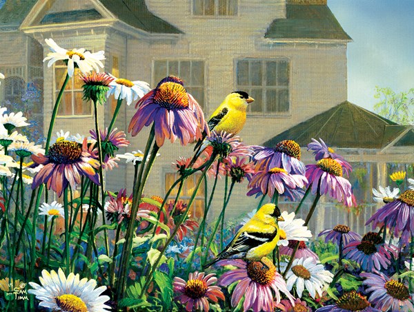 SunsOut (29040) - Sam Timm: "Colors" - 1000 piezas