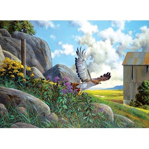 Cobble Hill (85064) - Douglas Laird: "Take Off" - 500 piezas