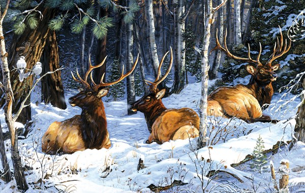 King International (71236) - Terry Doughty: "Full House Three Kings Two Jacks" - 550 piezas