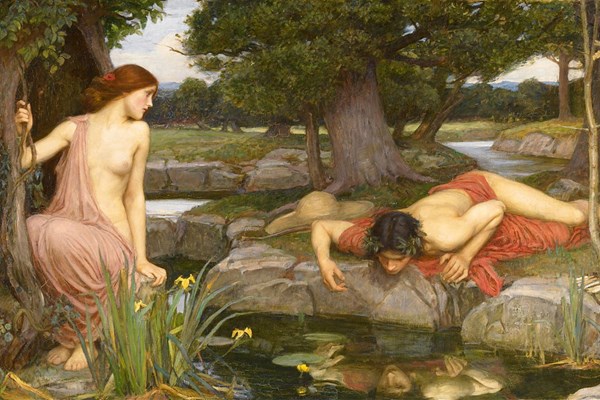 D-Toys (75048) - John William Waterhouse: "Echo and Narcissus" - 1000 piezas