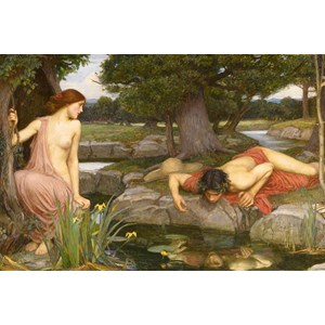 D-Toys (75048) - John William Waterhouse: "Echo and Narcissus" - 1000 piezas