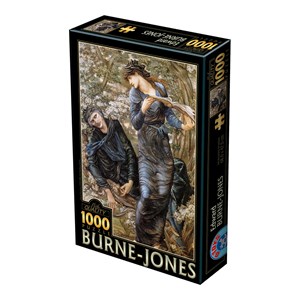D-Toys (75024) - Edward Burne-Jones: "The Beguiling of Merlin, 1872-1877" - 1000 piezas