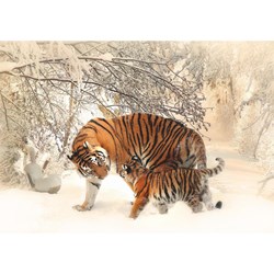 Deico (75987) - "Tigers" - 1000 piezas