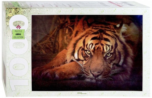 Step Puzzle (79142) - "Siberian tiger" - 1000 piezas