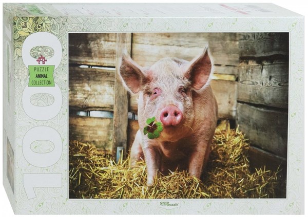 Step Puzzle (79199) - "Year 2019 in China" - 1000 piezas