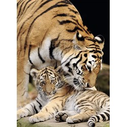 Nathan (87234) - "Moment of Tenderness" - 500 piezas