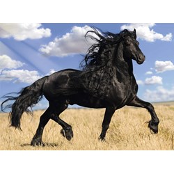 Nathan (87223) - "Horse" - 500 piezas