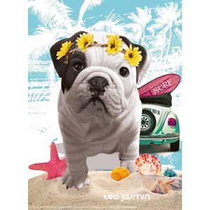 Nathan (87239) - "Téo California" - 500 piezas