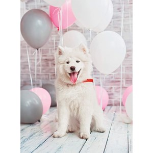 Nathan (87242) - "Samoyed Dog" - 500 piezas