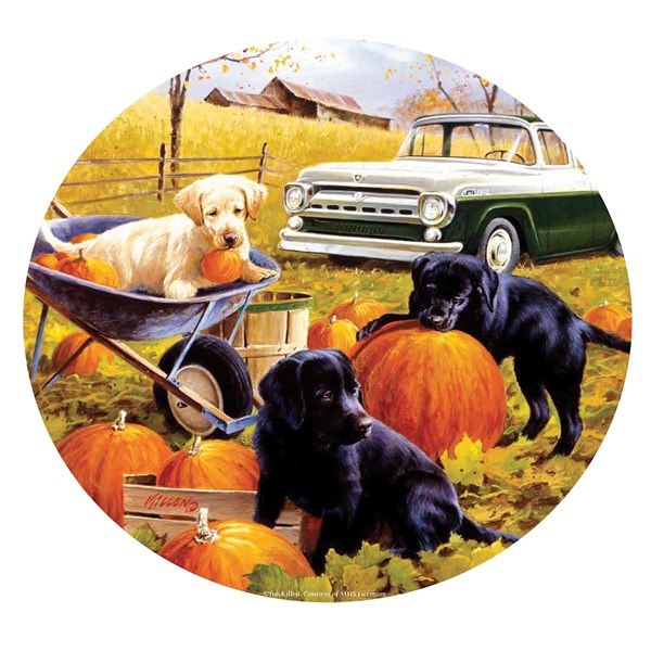 SunsOut (73434) - "Pumpkin Patch" - 500 piezas