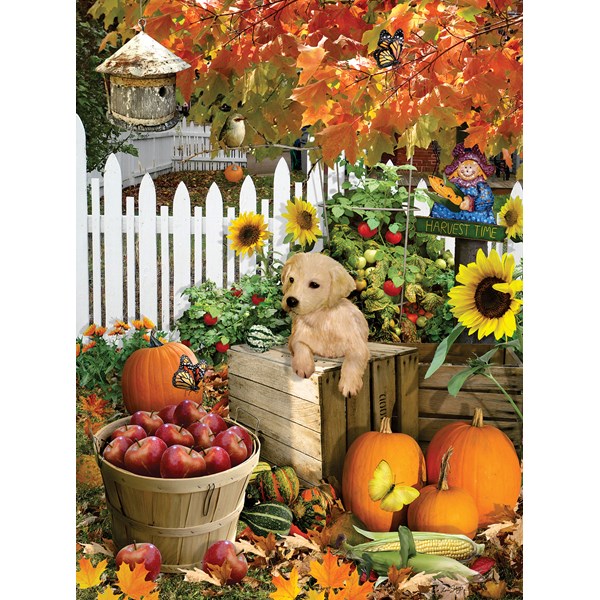SunsOut (35140) - Lori Schory: "Harvest Puppy" - 300 piezas
