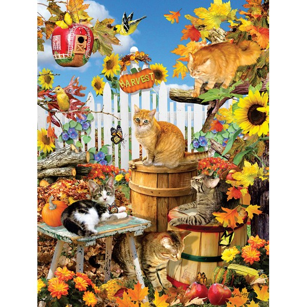 SunsOut (35143) - Lori Schory: "XXL Pieces - Lori Schory - Harvest Kittens" - 300 piezas
