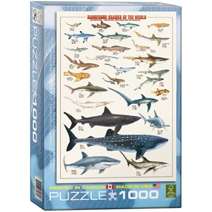 Eurographics (6000-0264) - "Dangerous Sharks of the World" - 1000 piezas
