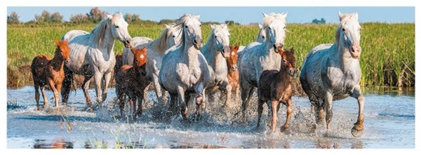 Dino (39326) - "Horses" - 150 piezas