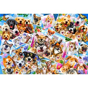 Bluebird Puzzle (70371) - "Selfie Pet Collage" - 260 piezas