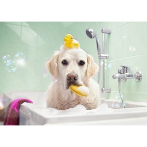 Bluebird Puzzle (70367) - "Bath Time" - 100 piezas