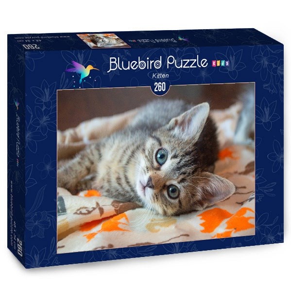 Bluebird Puzzle (70368) - "Kitten" - 260 piezas