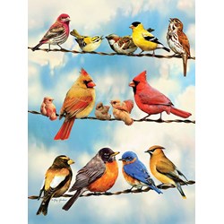 Cobble Hill (85034) - Greg Giordano: "Birds on a Wire" - 500 piezas