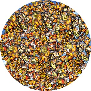 SunsOut (35047) - Lori Schory: "Monarch Frenzy" - 1000 piezas