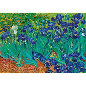 Bluebird Puzzle (60006) - Vincent van Gogh: "Irises, 1889" - 1000 piezas