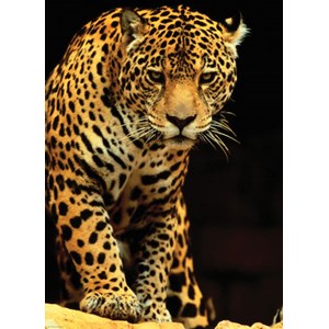 Eurographics (6000-1163) - "Leopard" - 1000 piezas