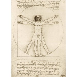 Bluebird Puzzle (60009) - Leonardo Da Vinci: "The Vitruvian Man, 1490" - 1000 piezas