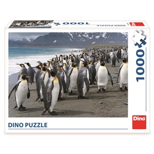 Dino (53283) - "Penguins" - 1000 piezas