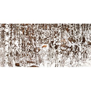 SunsOut (74415) - Bev Doolittle: "Woodland Encounter" - 1000 piezas