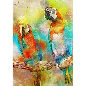 Bluebird Puzzle (70032) - "Parrots" - 1000 piezas