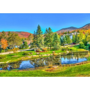 Bluebird Puzzle (70023) - "Stowe, Vermont, USA" - 1000 piezas