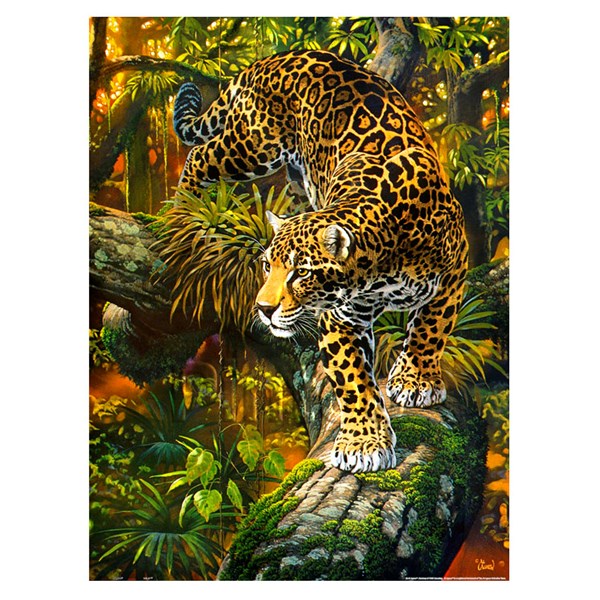 Pintoo (h2078) - Al Agnew: "High Intensity" - 1200 piezas