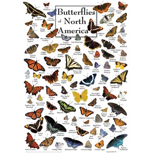 MasterPieces (71971) - "Butterflies of North America" - 1000 piezas