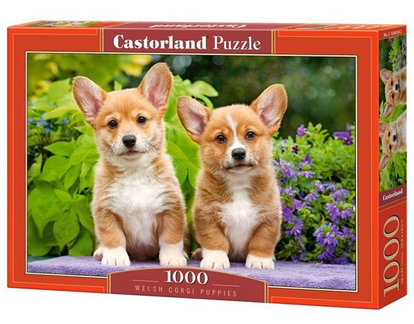 Castorland (C-104659) - "Welsh Corgi Puppies" - 1000 piezas