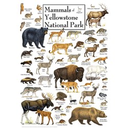 MasterPieces (71974) - "Mammals of Yellowstone National Park" - 1000 piezas