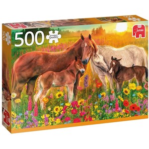 Jumbo (18851) - "Horses in the Meadow" - 500 piezas
