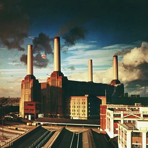 Zee Puzzle (26808) - "Pink Floyd, Animals" - 500 piezas