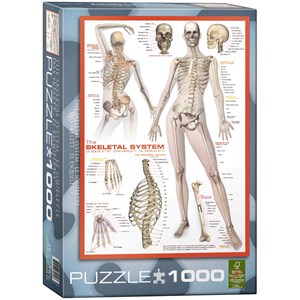 Eurographics (6000-2014) - "The Skeletal System" - 1000 piezas
