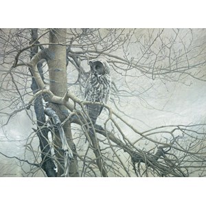 Cobble Hill (51769) - Robert Bateman: "Ghost of the North" - 1000 piezas