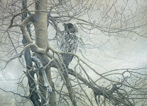 Cobble Hill (51769) - Robert Bateman: "Ghost of the North" - 1000 piezas