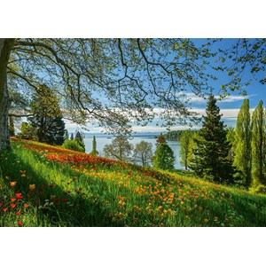 Schmidt Spiele (58967) - "Tulips Field, Mainau Island" - 1000 piezas
