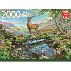 Jumbo (18357) - "Wildlife Splendour" - 2000 piezas