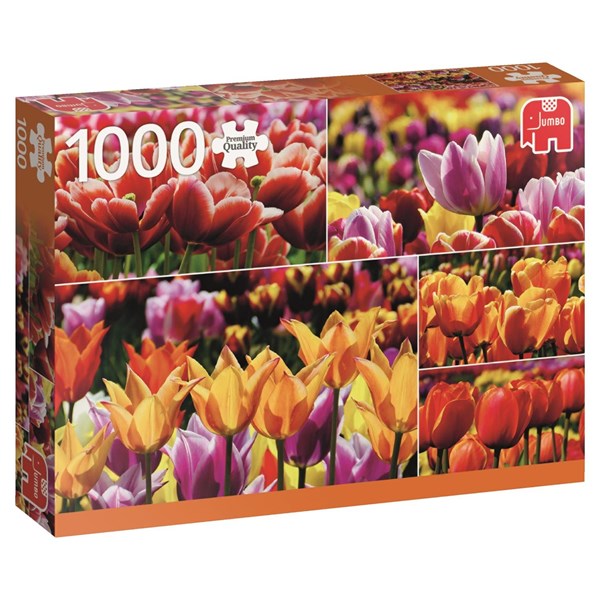 Jumbo (18364) - "Holland Tulips" - 1000 piezas