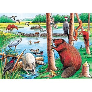 Cobble Hill (58802) - "The Beaver Pond" - 35 piezas