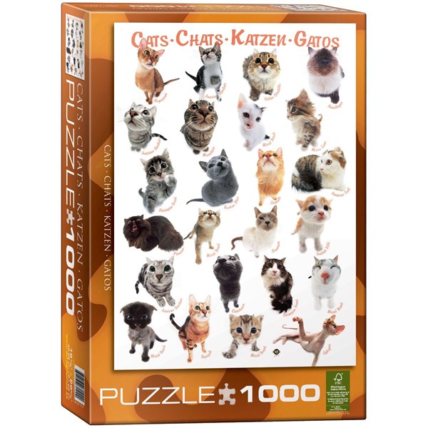 Eurographics (6000-1511) - "Cat Breeds" - 1000 piezas