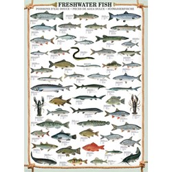 Eurographics (6000-0312) - "Freshwater Fish" - 1000 piezas
