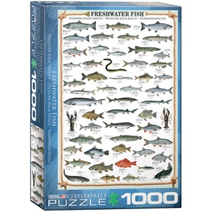 Eurographics (6000-0312) - "Freshwater Fish" - 1000 piezas