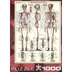 Eurographics (6000-3970) - "The Skeletal System" - 1000 piezas