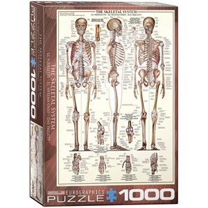 Eurographics (6000-3970) - "The Skeletal System" - 1000 piezas