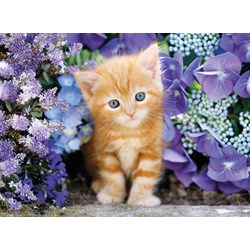 Clementoni (30415) - "Ginger Cat in Flowers" - 500 piezas