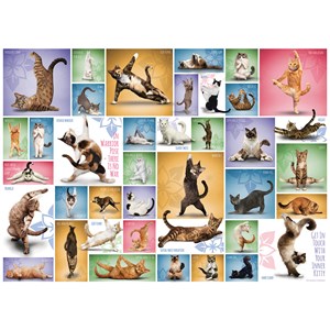 Eurographics (6000-0953) - "Yoga Cats" - 1000 piezas